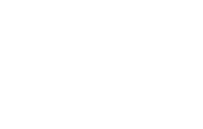 SAS International