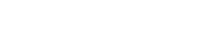 Volution Group